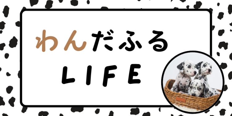 わんだふるLIFE